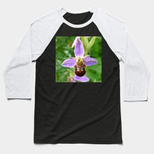 Bee Orchid Baseball T-Shirt